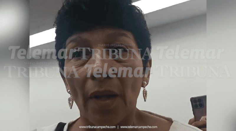 No a todos los de morena nos insultan: Elda Castillo