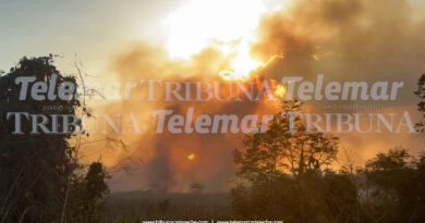 INCENDIO CERCA DE SIGLO XXIII CAUSA DENSA CORTINA DE HUMO