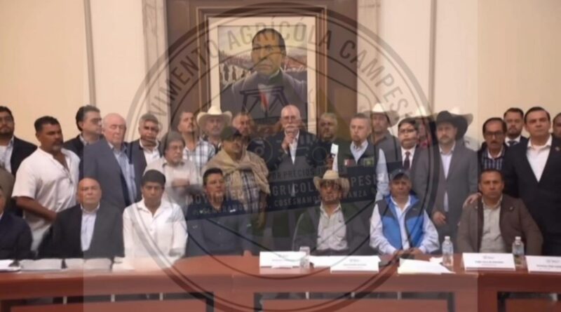¡ULTIMÁTUM A SHEINBAUM! SI ESTE LUNES NO PONE A $7 MIL 200 LA TONELADA DE MAÍZ Y A $6 MIL LA DE SORGO, TOMAREMOS MEDIDAS: MOVIMIENTO AGRÍCOLA ¡ULTIMÁTUM A SHEINBAUM! SI ESTE LUNES NO PONE A $7 MIL 200 LA TONELADA DE MAÍZ Y A $6 MIL LA DE SORGO, TOMAREMOS MEDIDAS: MOVIMIENTO AGRÍCOLA