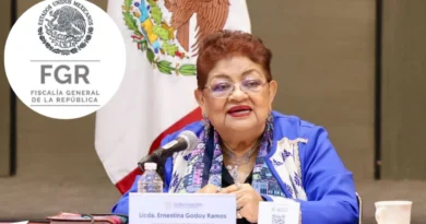 MAÑANA ELIGEN A ERNESTINA GODOY COMO FISCAL GENERAL DE LA REPÚBLICA, AFIRMAN
