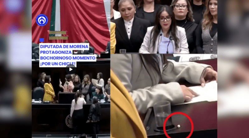 ¡EL NIVEL DE LEGISLADORES DE LA 4T! DIPUTADA DE MORENA PEGA SU CHICLE EN LA TRIBUNA DE SAN LÁZARO