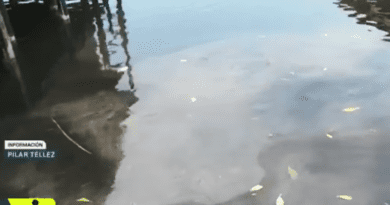 EN REDES: SER HUMANISTAS COMO DICE LA PRESIDENTA, EXIGEN VECINOS DE PUERTO CEIBA, TABASCO ANTE MORTANDAD DE PECES TRAS INCENDIO EN REFINERÍA