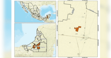 PARQUE SOLAR EN ESCÁRCEGA ENTRA A TRÁMITE; OCUPARÍA MÁS DE 400 HECTÁREAS Y CAMBIARÍA USO DE SUELO EN MÁS DE 100 DE SELVA