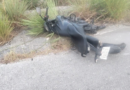 MUERE ELEMENTO DE LA GUARDIA NACIONAL TRAS DERRAPAR EN MOTOCICLETA