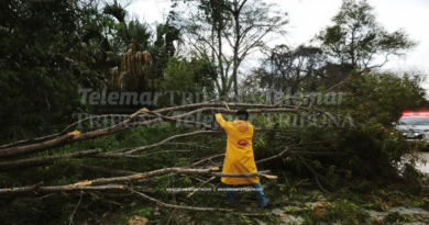 TURBONADAS Y LLUVIAS TUMBAN ÁRBOLES EN SEYBAPLAYA Y CHAMPOTÓN Y UN POSTE DE LA CFE QUE DEJÓ SIN SERVICIO A KANKÍ