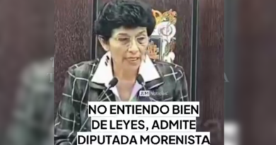 SE HACE VIRAL LA DECLARACIÓN DE LA ENTONCES DIPUTADA LOCAL MORENISTA ELDA CASTILLO DE QUE NO ENTIENDE BIEN DE LEYES, NI LE INTERESA SER ABOGADA