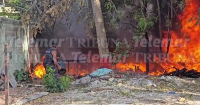 FUERTE INCENDIO EN SANTA ANA POR LLANTAS Y MALEZA