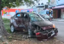 ¡VIVIÓ PARA CONTARLO! DESTROZA SU COCHE TRAS MONTAR CAMELLÓN CENTRAL Y CHOCAR CONTRA UN ÁRBOL EN LA AVENIDA CONCORDIA