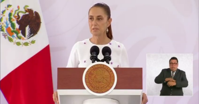 LOCALIZAR A LA PERIODISTA ROXANA GUZMÁN ES LO MÁS IMPORTANTE: SHEINBAUM