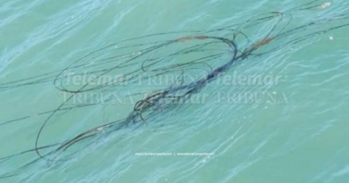 ¡PELIGRO EN EL PUENTE DE LA UNIDAD! PROBABLE INTENTO DE ROBO DEJA CABLES FLOTANDO EN EL MAR Y ES RIEGO PARA PESCADORES
