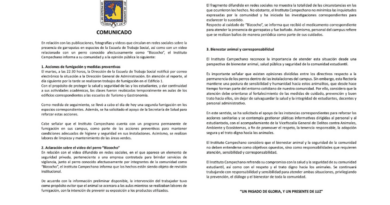 INDIGNACIÓN POR GARRAPATAS Y CASO “BIZCOCHO” OBLIGA AL INSTITUTO CAMPECHANO A REACCIONAR